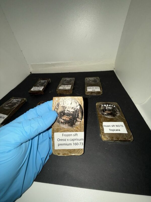 Omerta Farms hash frozen