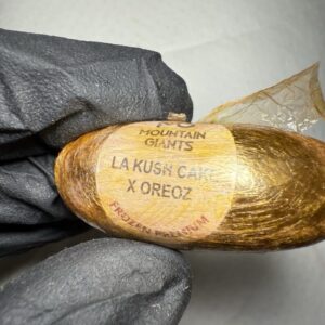 Mountain Giants Hash Eggs